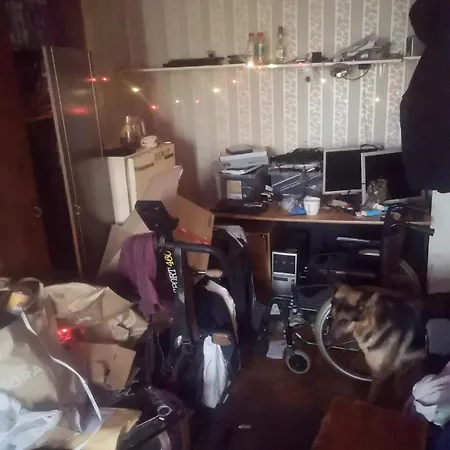 Flat Apartment *